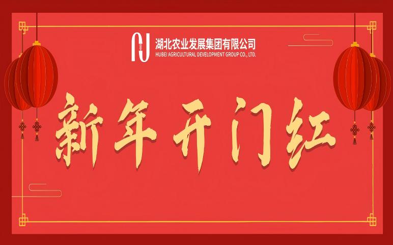 新年開門紅 | 省糧油進出口集團：乘“巳...